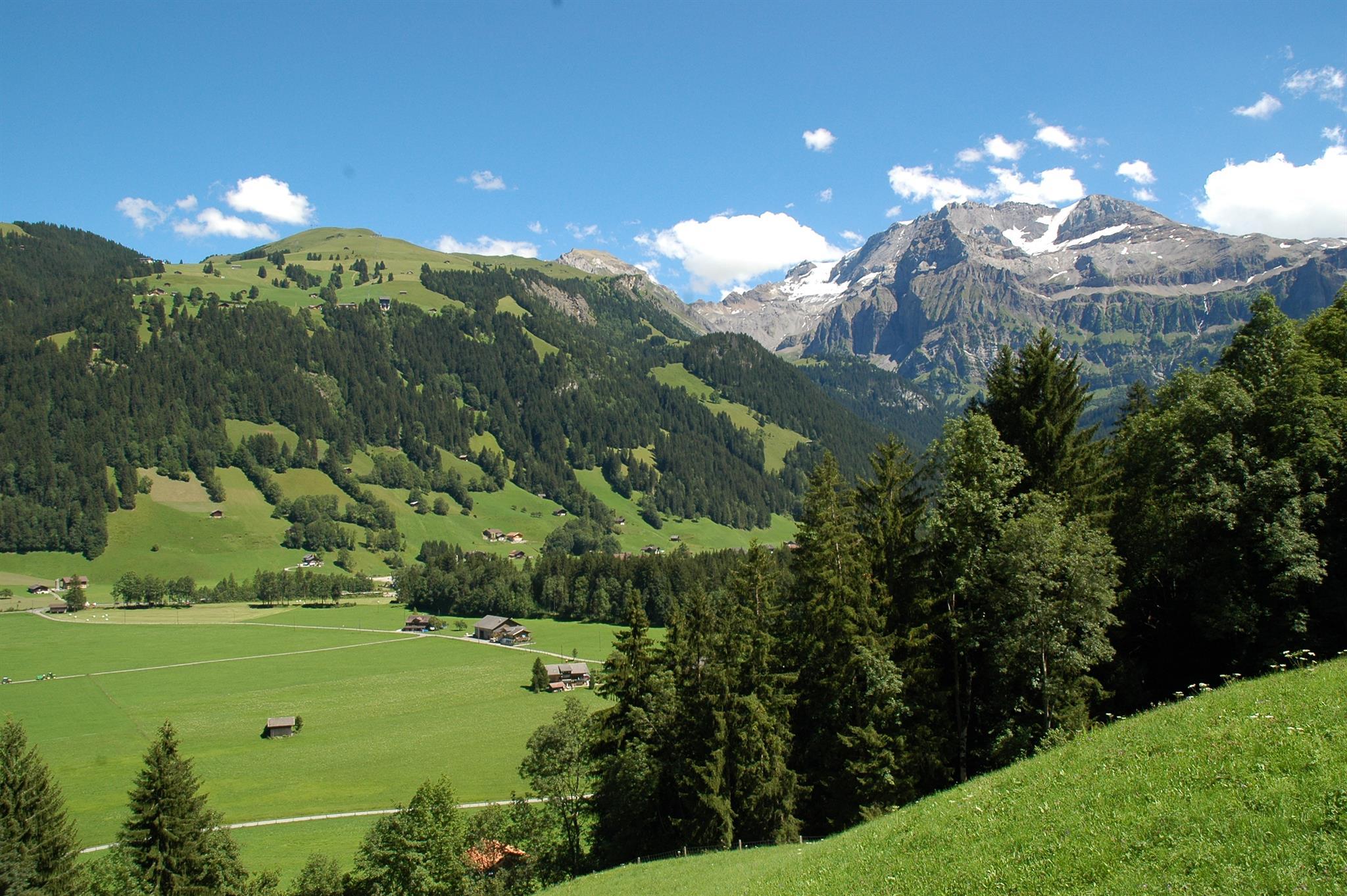 Aussicht Sommer Aussicht Sommer