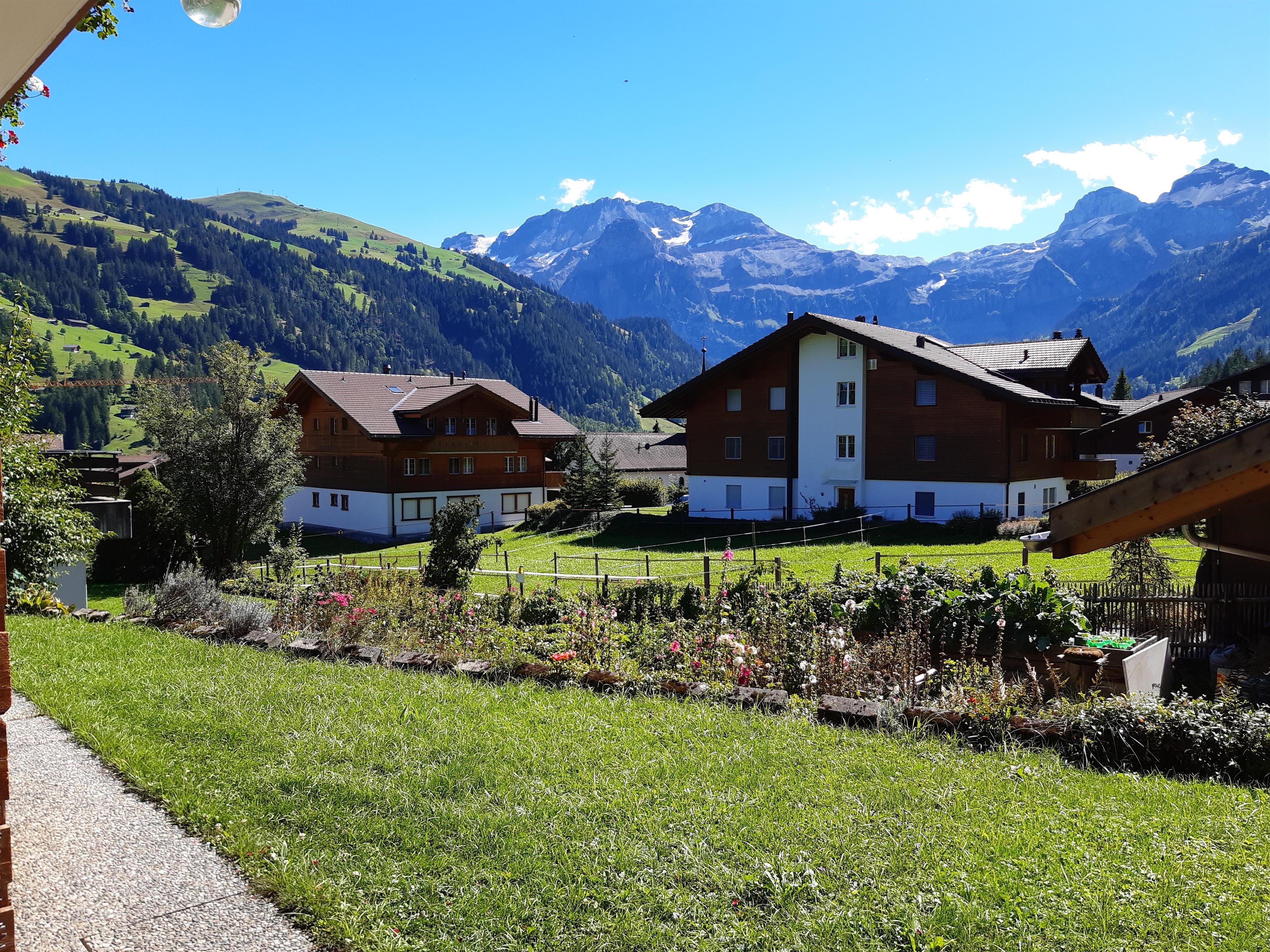 Aussicht Sommer Aussicht Sommer