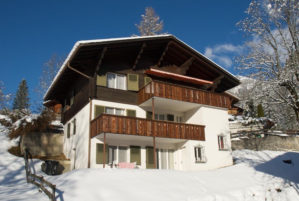 Chalet Pony im Winter Chalet Pony im Winter