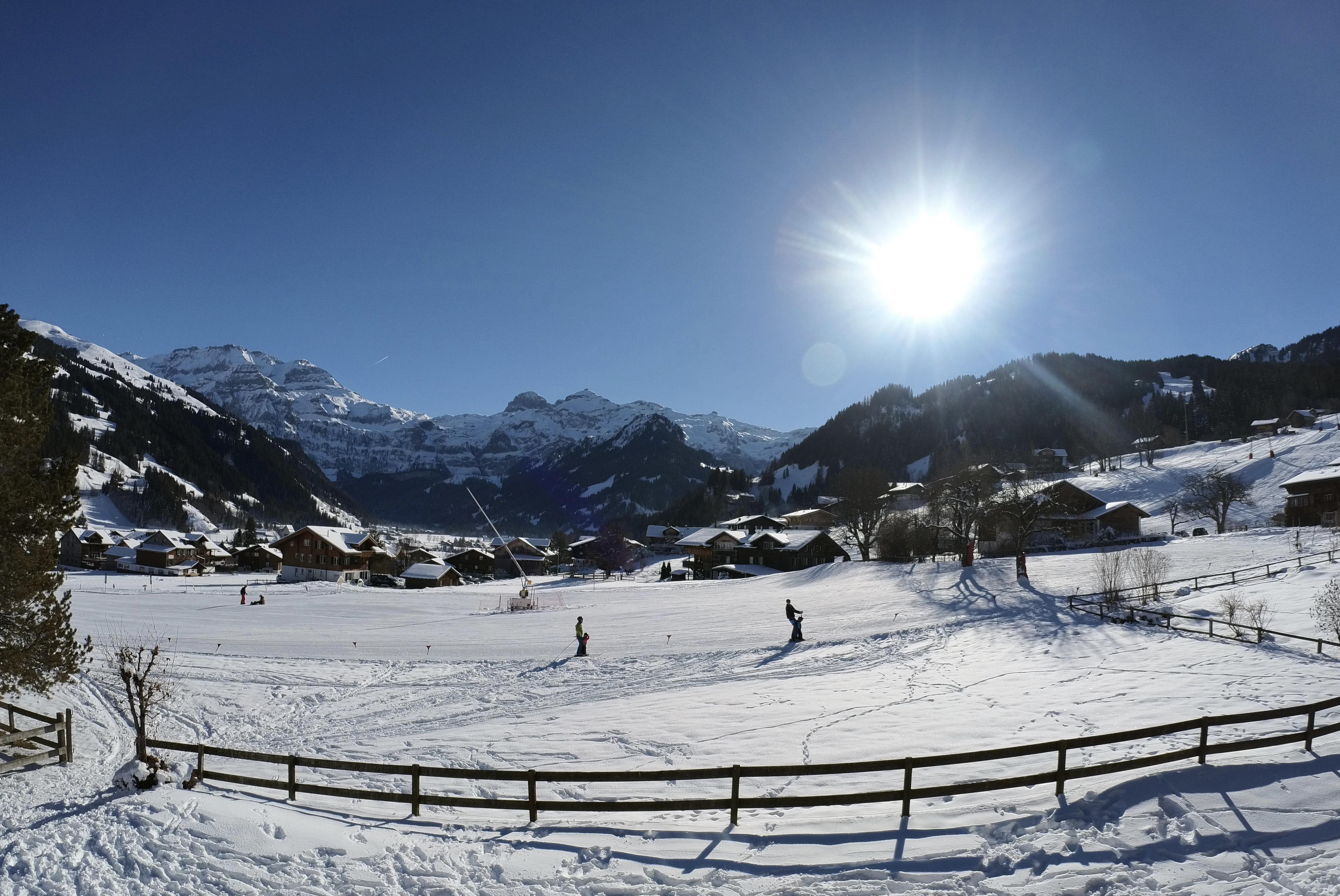 IMG_20220115_131428_891 IMG_20220115_131428_891