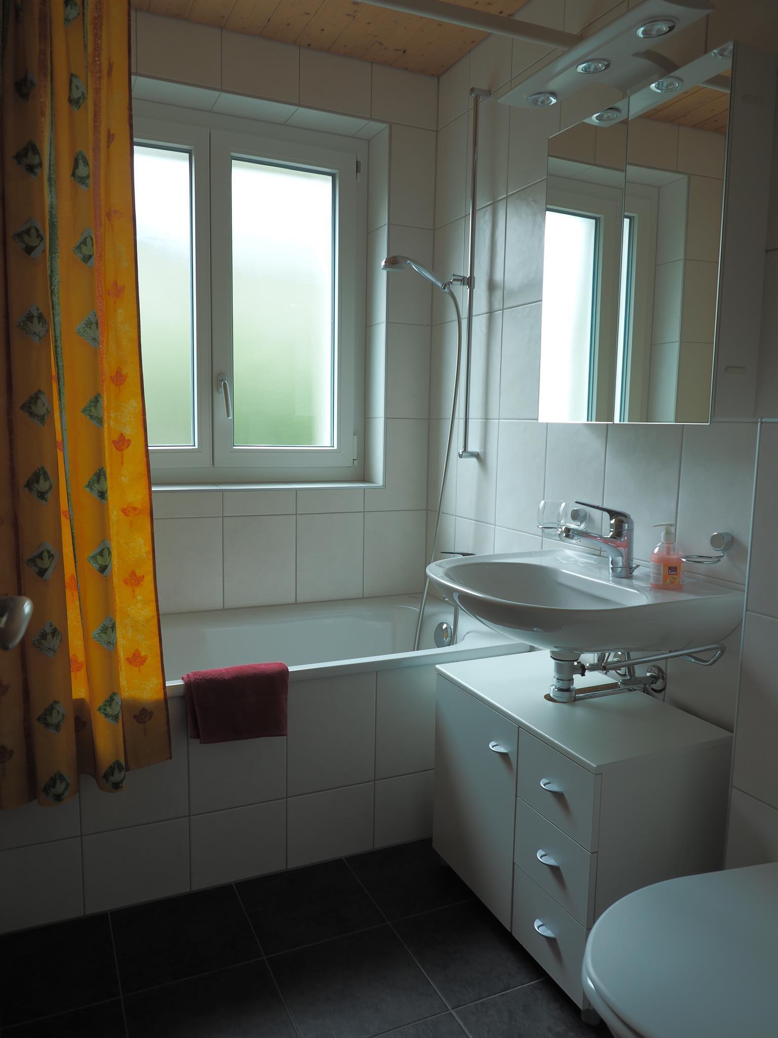 Wohnung "Altels" Badezimmer Wohnung "Altels" Badezimmer