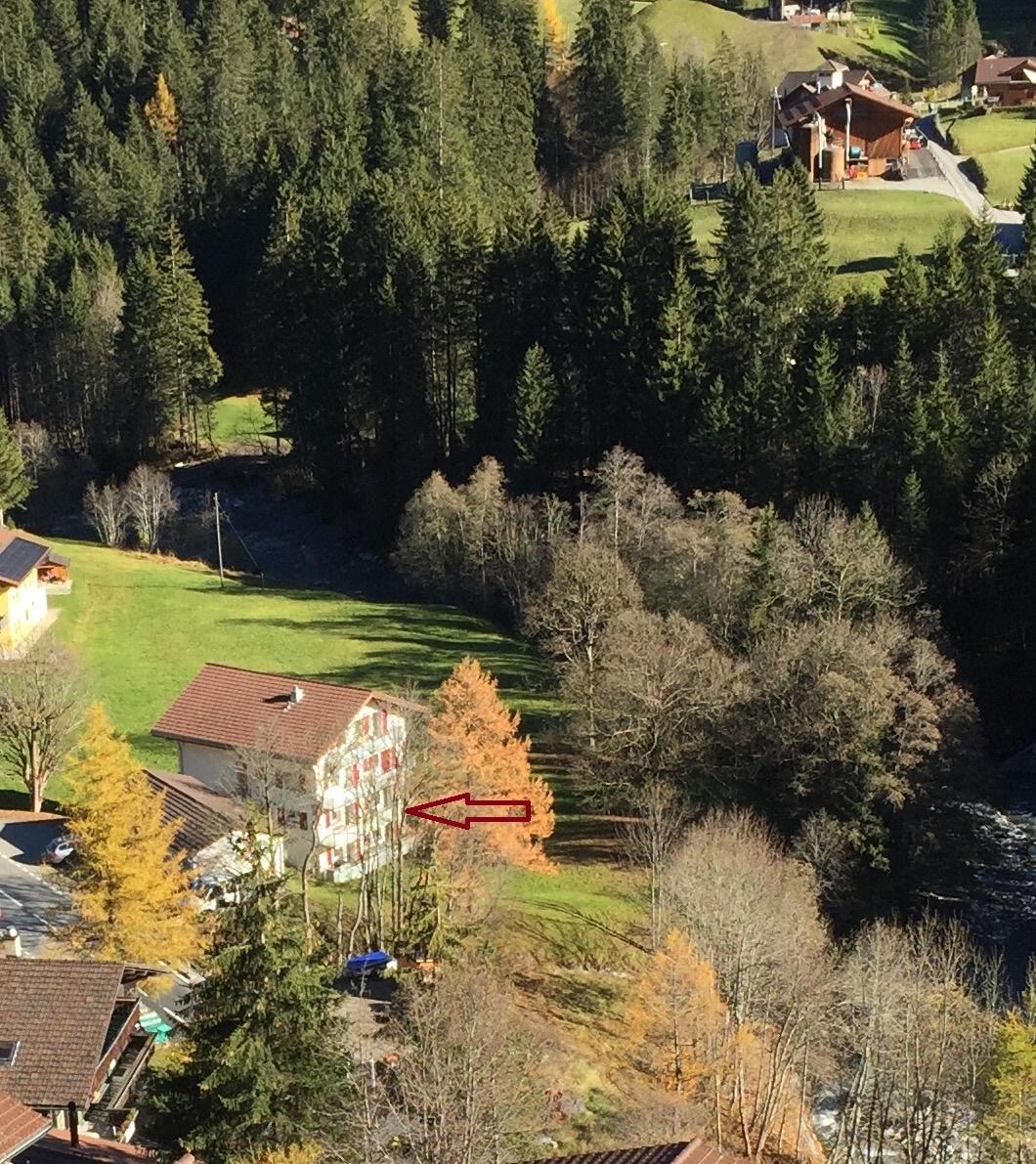Haus von oben im Herbst Haus von oben im Herbst