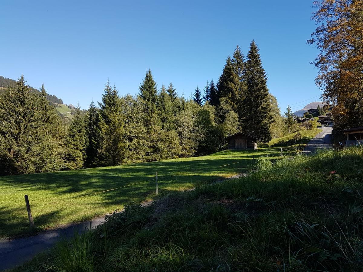 Aussicht 2 Aussicht 2