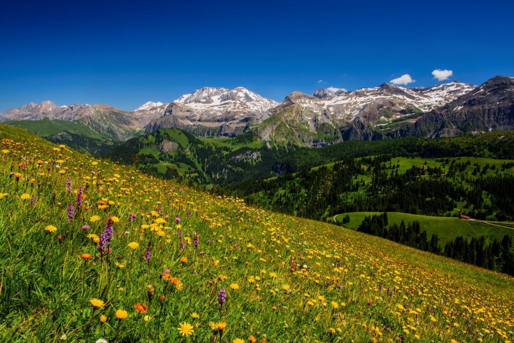 Wildstrubel Wildstrubel