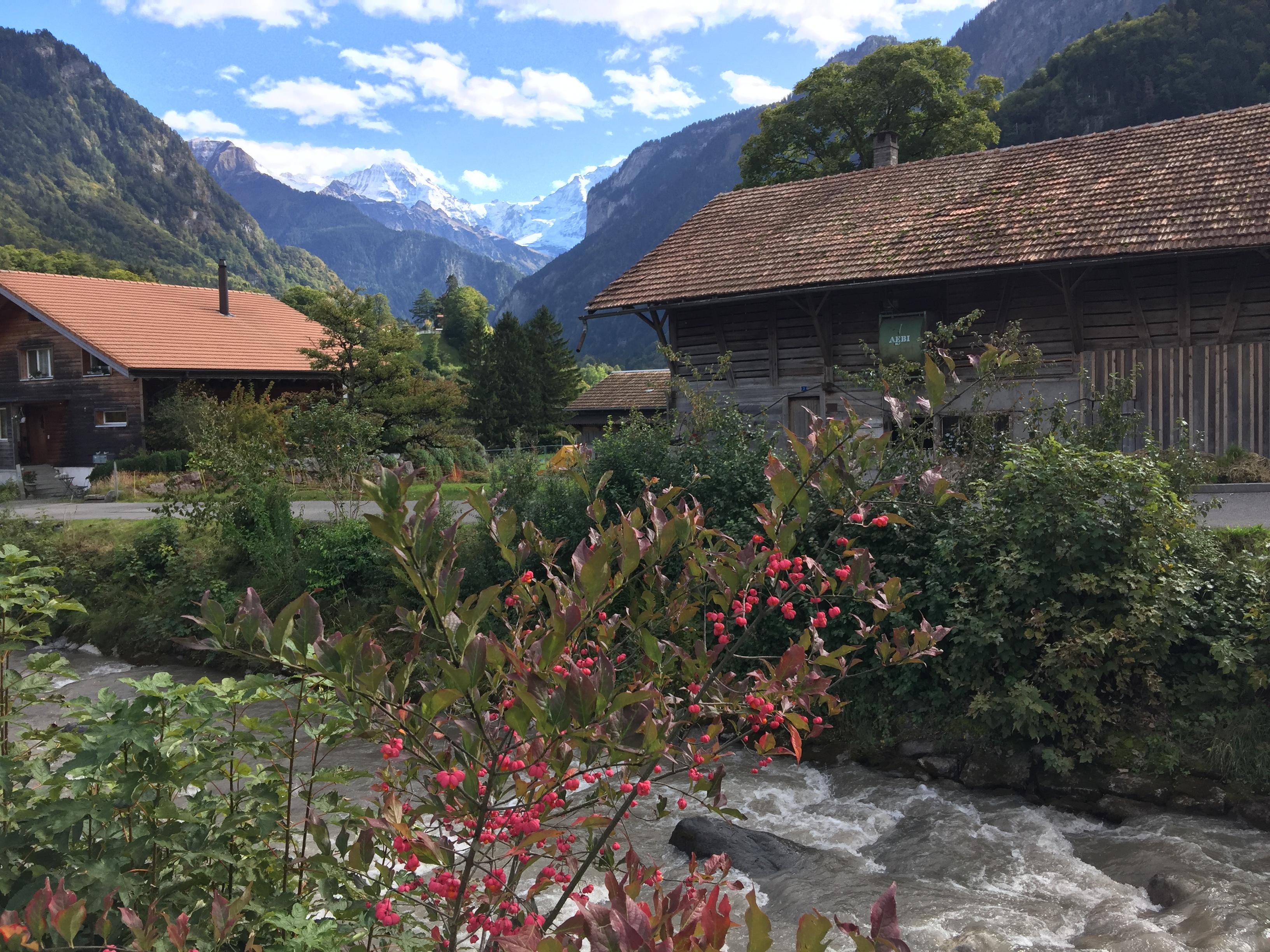 Rauschender Saxetbach Rauschender Saxetbach