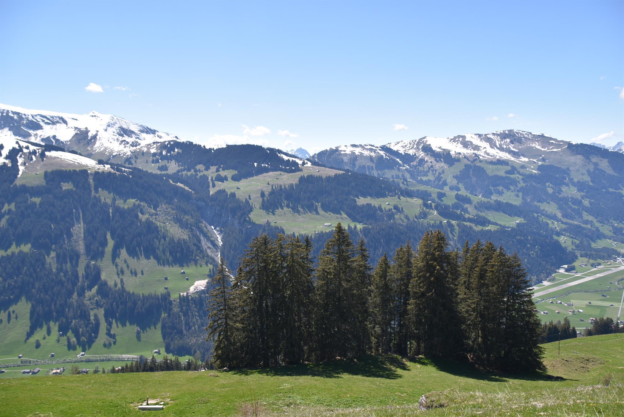 Aussicht 6 Aussicht 6