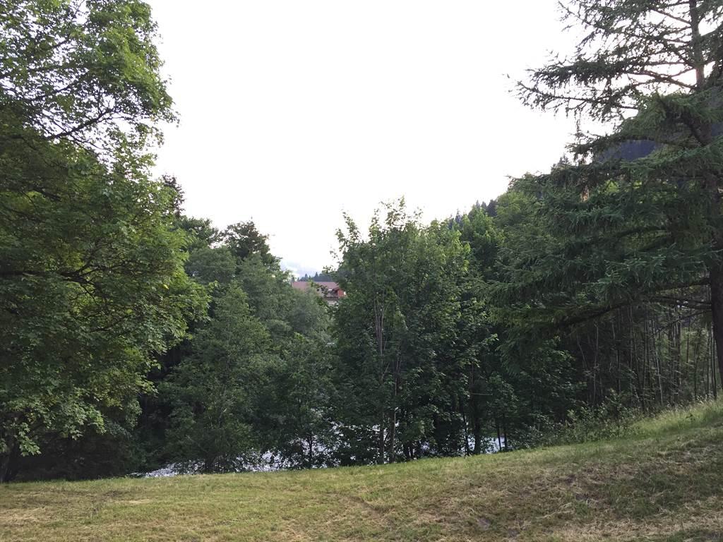 Sicht vom Wohnzimmer/Balkon Sommer Sicht vom Wohnzimmer/Balkon Sommer