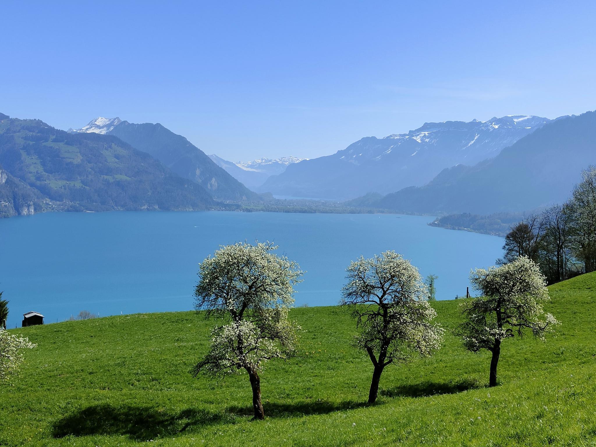 IMG20220417113219 IMG20220417113219