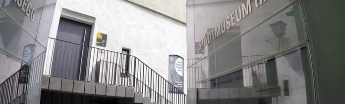 Stadtmuseum Hall