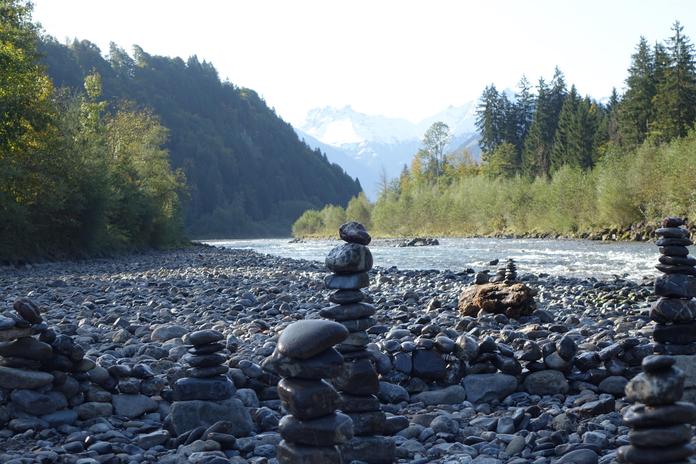 Naturwanderung mit Hans im Sommer