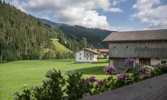 A picturesque landscape painting with green meadows and gentle hills. In the foreground, flowers and traditional buildings can be seen.