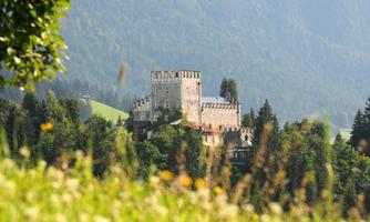 An impressive castle on a hill, surrounded by mountains and forests. In the foreground, cheerful flowers bloom in a meadow.