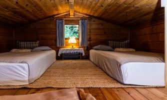 A cozy room with two single beds and a window that looks out onto a forest view. The room has wooden walls and a soft carpet.