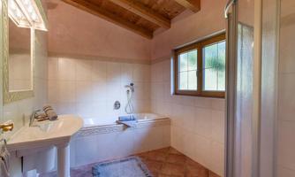 A bright bathroom with a wooden ceiling, shower, and bathtub. The window provides plenty of light and a cozy atmosphere.