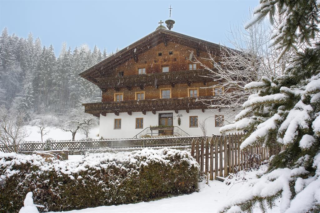 Treichlbauer