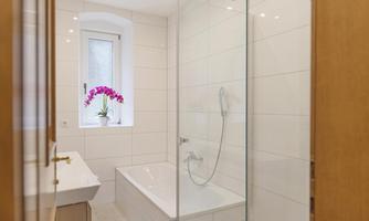 A modern bathroom with a shower and bathtub. An orchid in a pot stands by the window.