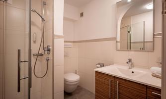 A modern bathroom with a shower and a toilet.