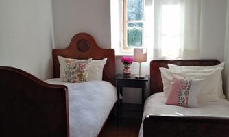 A cozy bedroom with two beds and wooden flooring. Bright light streams through the window and a small flower vase sits on the nightstand.