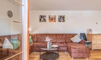 A cozy living room with a brown couch and wooden floor. Pictures of dogs hang on the wall, and a small table is in the middle.
