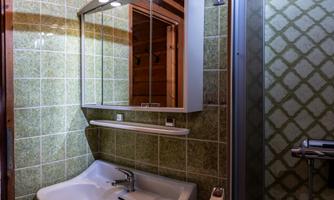 A bathroom with green tiles and a large mirror above the sink. The shower is visible adjacent to the wall.