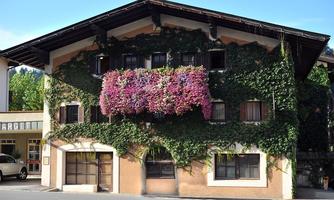 A charming house surrounded by lush ivy. Colorful flowers bloom on the facade.