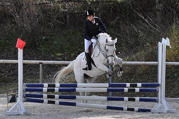 Springturnier mit Tiroler Meisterschaft