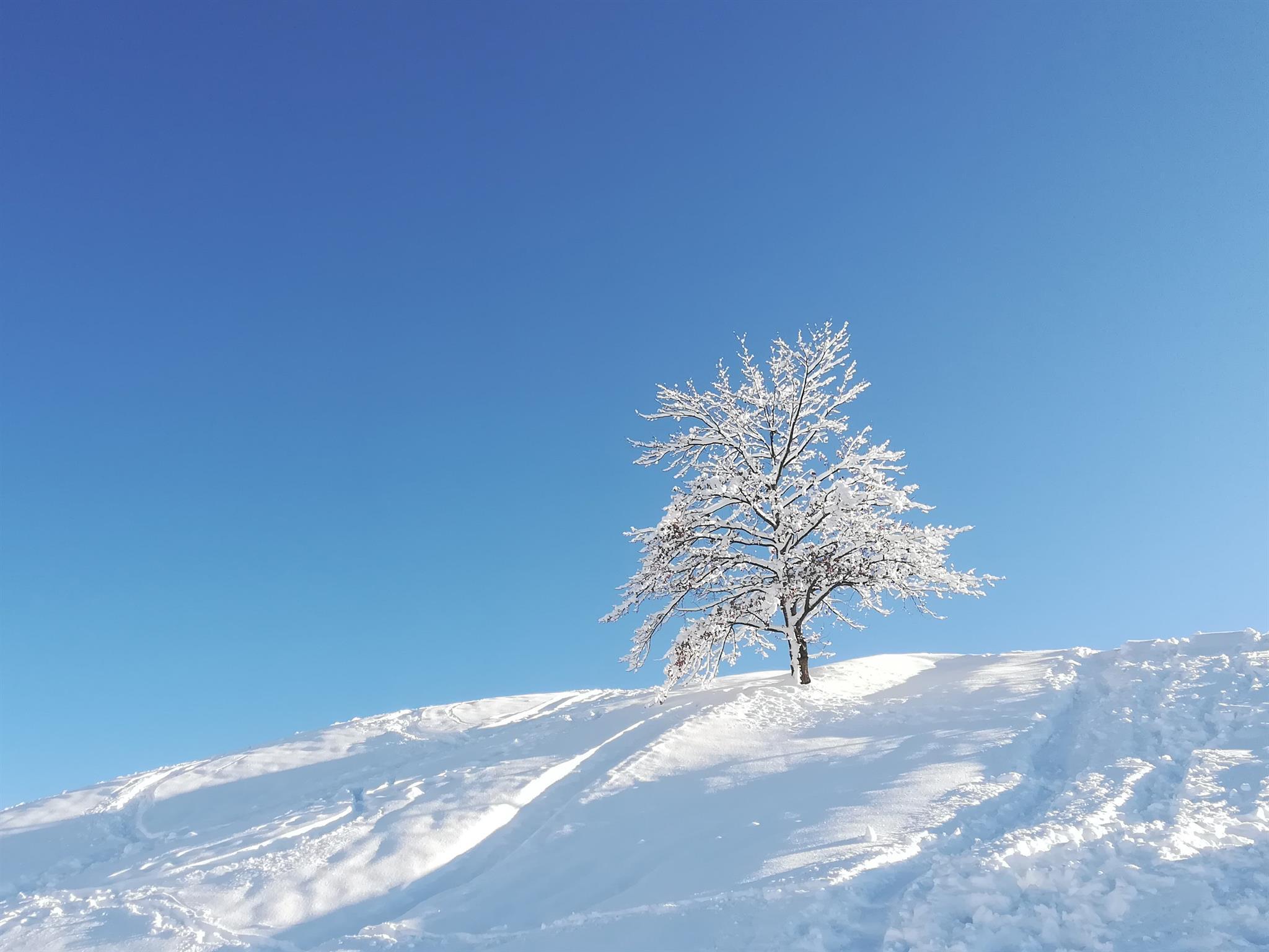 Zauberhafte Winterwanderung in Igls für Familien und Einsteiger