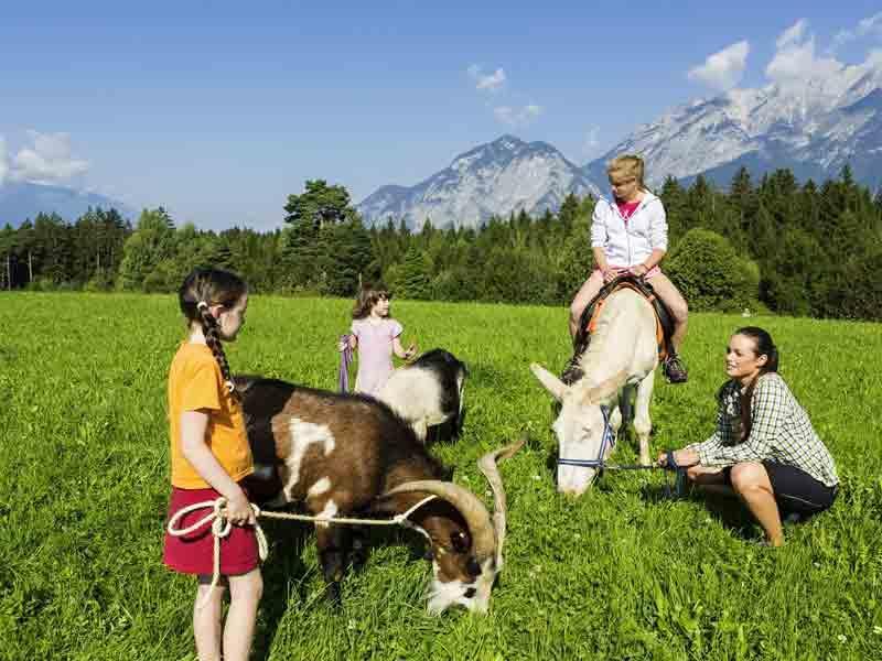 Gratis Bauernhofführung (Anmeldung)