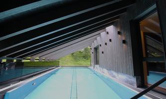 A modern pool under a slanted roof with wooden cladding. The view shows green countryside through large windows.