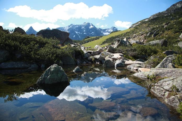 Flathsee
