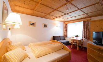 A cozy room with a double bed and wooden paneling. A sofa, a table, and a television are also available.