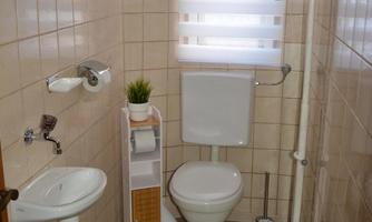 A modern bathroom with a toilet, a sink, and a small plant element. The floor is covered with a green carpet and the walls are tiled.