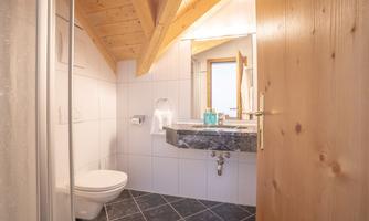 Shower-toilet 202
