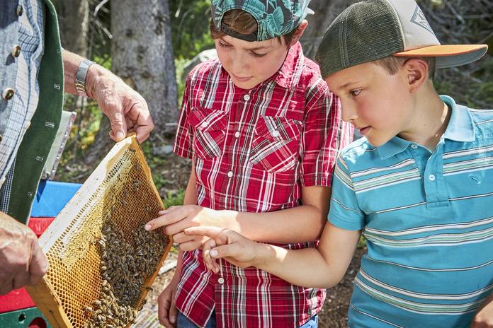 Bienenlehrpfad