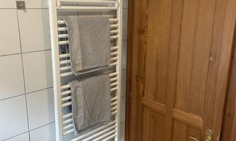 A bathroom with a towel warmer on the wall. Next to the radiator is a wooden house door.