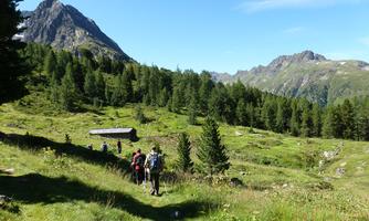 Hiking on a beautiful mountain trail, surrounded by green meadows and forests. In the background, mighty mountains rise under a clear blue sky.