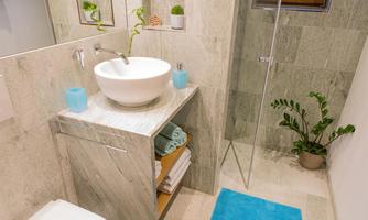 A modern bathroom with an elegant sink and a large shower. Green plants and colorful towels create an inviting atmosphere.