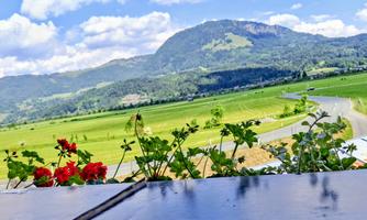A picturesque landscape with gentle hills and a prominent mountain in the background. In the foreground, red flowers bloom on a table.