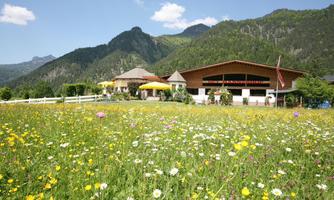A blooming meadow full of colorful flowers surrounds a cozy wooden building in the mountains. The sun is shining and the sky is blue with some clouds.