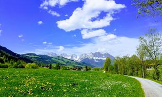 A green meadow with colorful flowers and a clear blue sky. In the background, majestic mountains can be seen.