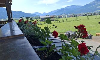 A view from a balcony with red flowers and a spacious green meadow in the background. In the background, mountains and a clear sky are visible.