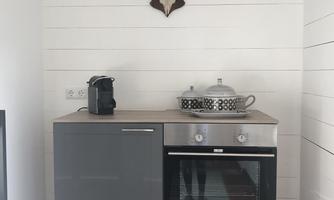 A modern kitchen with gray kitchen cabinets and an oven. Above the kitchen unit, a deer antler hangs on the wall.