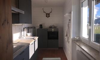A modern kitchen with gray cabinets and a bright workspace. A deer antler adorns the wall, while the window lets in daylight.