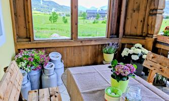 A cozy room with wooden paneling and a view of the green landscape. On the table are plants and a glass carafe.