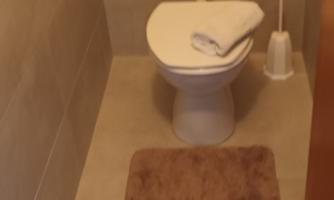 A simple bathroom with a toilet and a brown bath mat. The image shows a clean and functional environment.