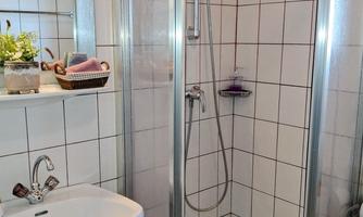 A modern bathroom with a shower cabin and a sink. The walls are covered with white tiles, and there are some plants on the shelf.