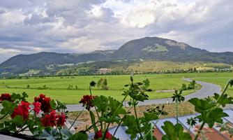 A beautiful view of green meadows and gentle hills. In the foreground, red flowers are blooming.