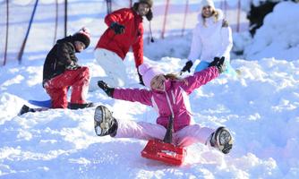 A group of four people is playing in the snow. A girl in pink winter clothing is happily sledding down the hill.