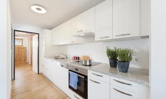 A modern kitchen with white cabinets and all the necessary appliances. Fresh herbs in pots are on the countertop.