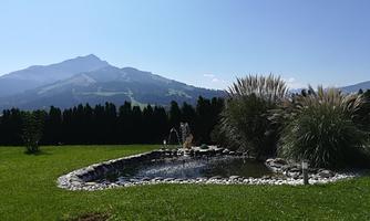 A quiet pond surrounded by grass and plants in a picturesque landscape. In the background, mountains and a clear blue sky can be seen.